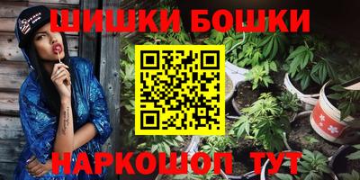шишки Дубна