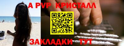 шишки Дубна