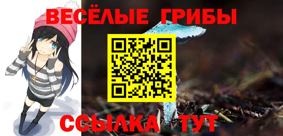 Псилоцибиновые грибы MAGIC MUSHROOMS Хасавюрт