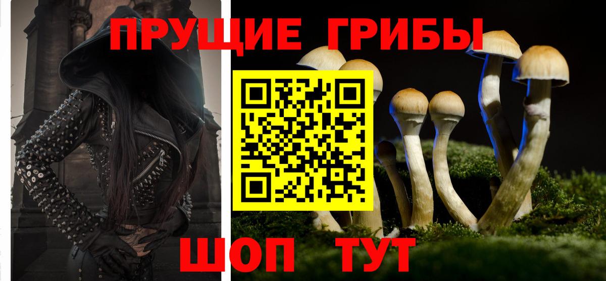 Псилоцибиновые грибы MAGIC MUSHROOMS  Галлюциногенные грибы мухоморы  Вход с VPN  Хасавюрт 